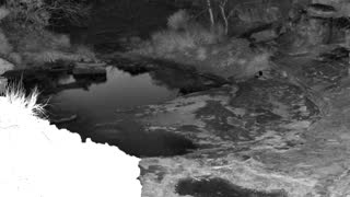 Still 3 from this detection