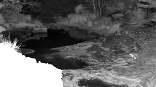 Still 1 from this detection