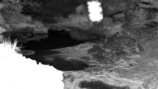 Still 2 from this detection