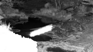 Still 1 from this detection