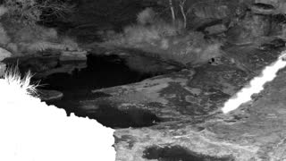 Still 1 from this detection