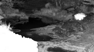 Still 2 from this detection