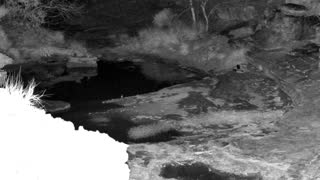 Still 2 from this detection