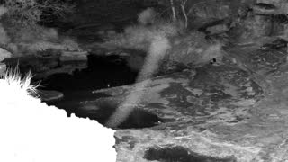 Still 2 from this detection