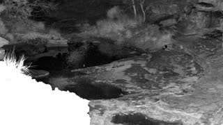 Still 1 from this detection