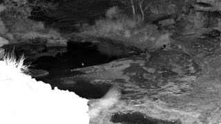 Still 3 from this detection