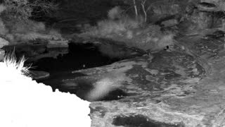 Still 1 from this detection