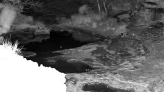 Still 2 from this detection