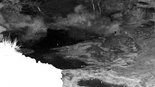 Still 1 from this detection