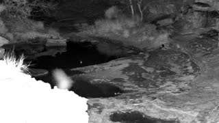 Still 3 from this detection