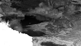 Still 1 from this detection