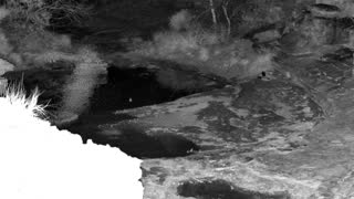 Still 1 from this detection
