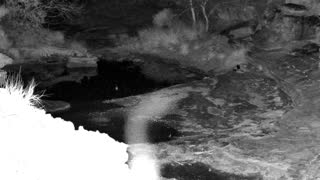 Still 1 from this detection