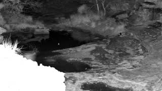 Still 3 from this detection