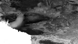 Still 1 from this detection