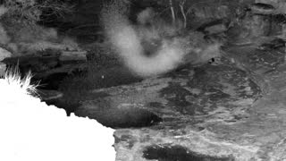 Still 1 from this detection