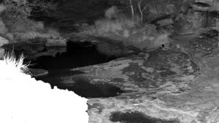 Still 1 from this detection