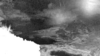 Still 2 from this detection