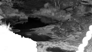 Still 1 from this detection
