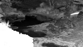 Still 1 from this detection