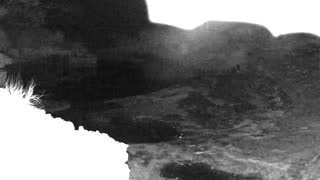 Still 2 from this detection