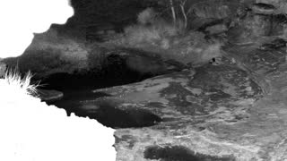 Still 1 from this detection
