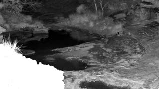 Still 1 from this detection