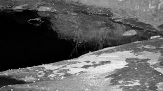 Still 2 from this detection