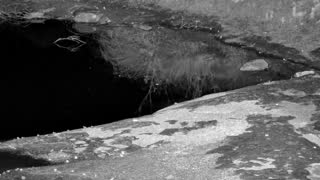 Still 3 from this detection
