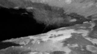 Still 1 from this detection