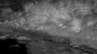 Still 3 from this detection
