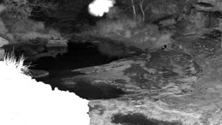 Still 2 from this detection