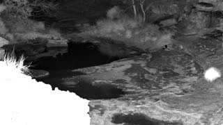 Still 2 from this detection