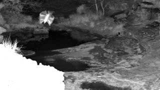 Still 1 from this detection