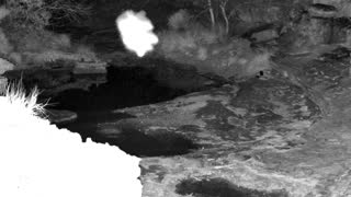 Still 1 from this detection