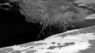 Still 3 from this detection