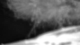 Still 1 from this detection