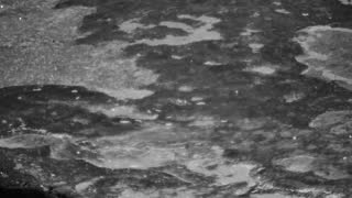 Still 1 from this detection