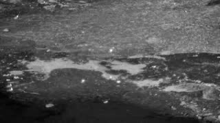 Still 1 from this detection