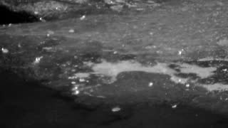 Still 3 from this detection