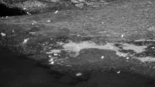 Still 2 from this detection