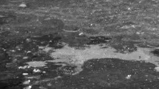 Still 1 from this detection