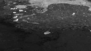 Still 2 from this detection