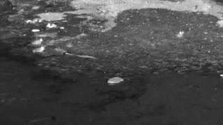 Still 3 from this detection
