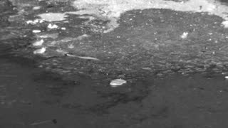 Still 3 from this detection