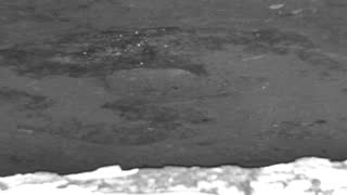 Still 1 from this detection