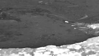 Still 2 from this detection