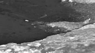 Still 3 from this detection