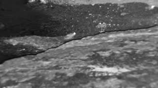 Still 1 from this detection