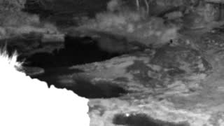 Still 1 from this detection
